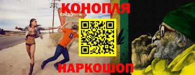 стаф Новозыбков