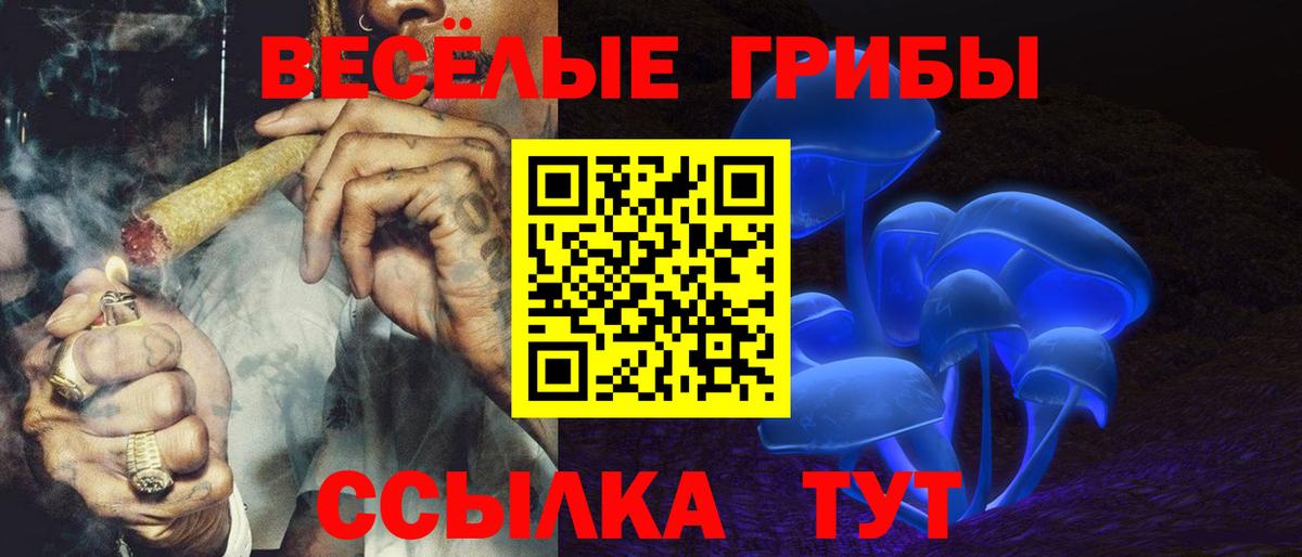 Псилоцибиновые грибы мухоморы Энгельс