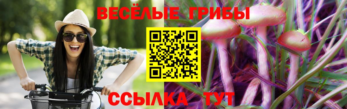 Галлюциногенные грибы ЛСД  Вход с VPN  Энгельс  Галлюциногенные грибы MAGIC MUSHROOMS 