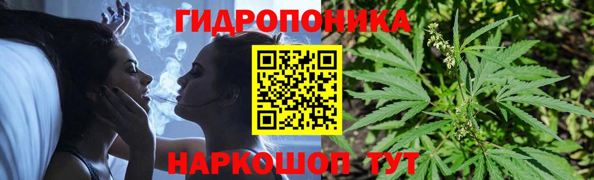 Бошки Шишки OG Kush Энгельс